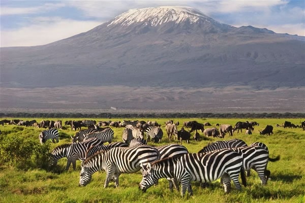 amboseli