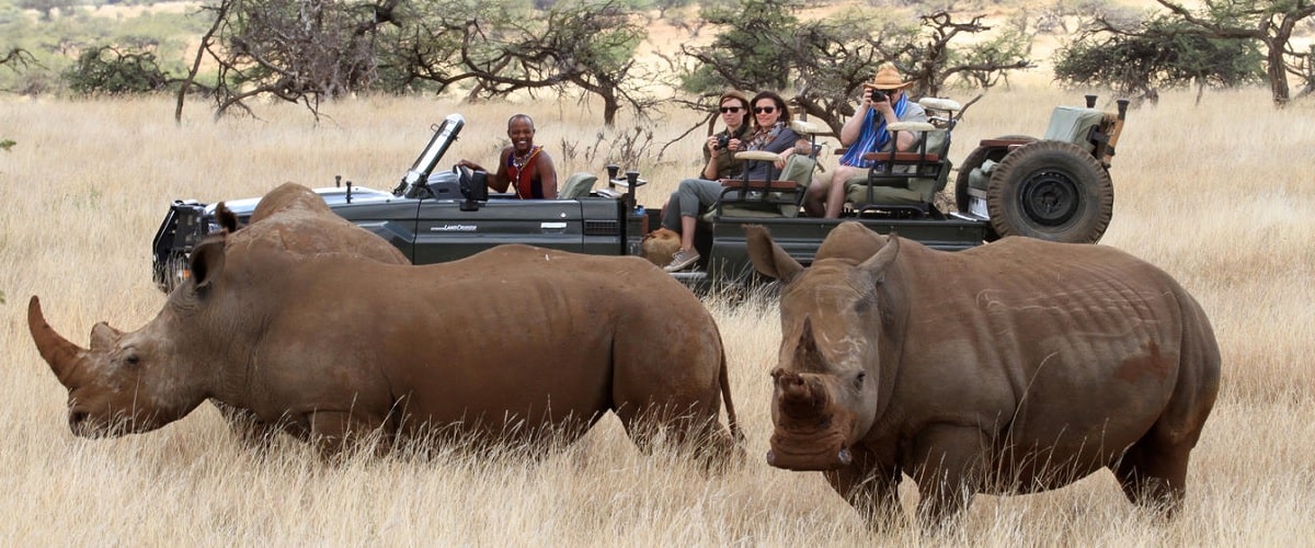 johney tours and travel safaris